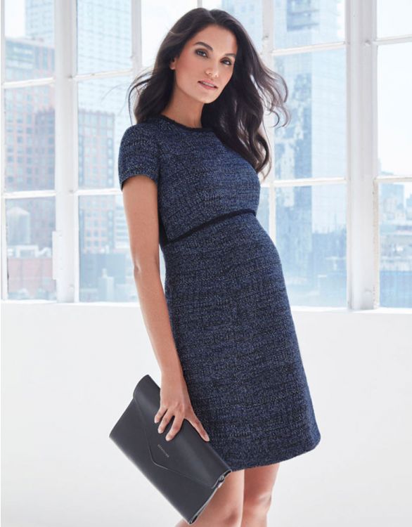seraphine navy blue maternity dress Seraphine Maternity Nursing Dress Sz 12 Navy Blue Eloise Knit Gold Buttons NWT