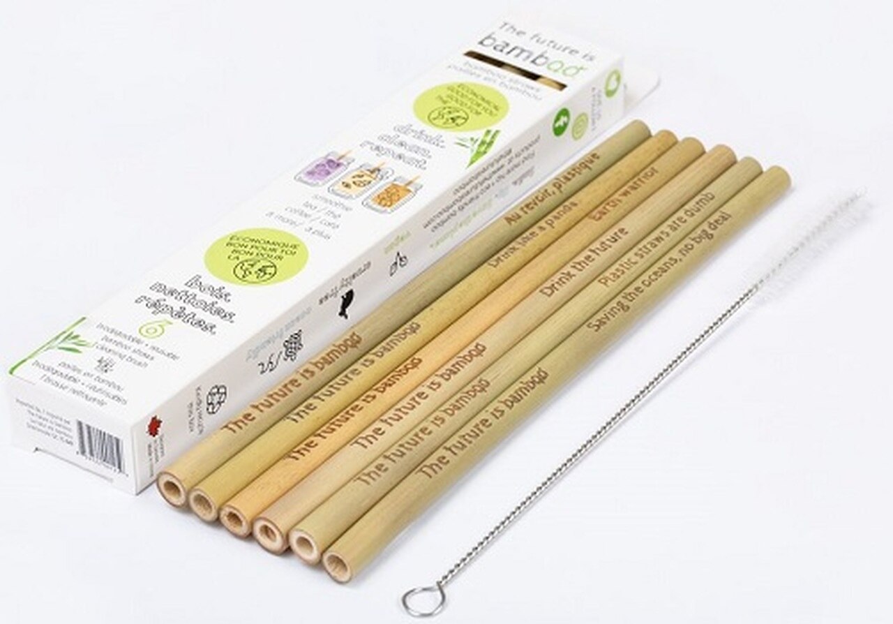 Bamboo Reusable Straws 6 pack + Cleaning brush